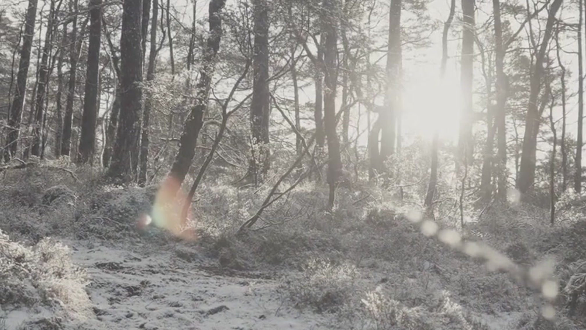 L'hiver en pleine conscience